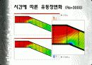 플라크에 의한 혈관 내부 유동장 해석 8페이지