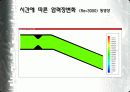 플라크에 의한 혈관 내부 유동장 해석 16페이지