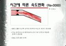 플라크에 의한 혈관 내부 유동장 해석 20페이지