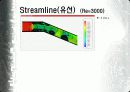 플라크에 의한 혈관 내부 유동장 해석 25페이지