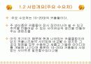 커플사이트 사업계획서 5페이지