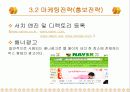 커플사이트 사업계획서 23페이지