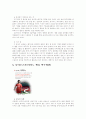 실제 스포츠광고 컨셉 및 카피 5페이지