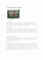 실제 스포츠광고 컨셉 및 카피 8페이지