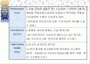 오피러스 마케팅 전략안 13페이지