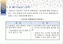 오피러스 마케팅 전략안 19페이지