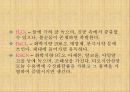 양이온 정성분석 19페이지