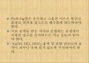 양이온 정성분석 23페이지