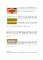 몬테소리 교육 프로그램에 대한 이해와 교사의 역할 및 교육적 의의 5페이지