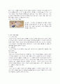 몬테소리 교육 프로그램에 대한 이해와 교사의 역할 및 교육적 의의 6페이지
