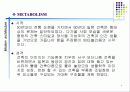 메타볼리즘 4페이지