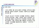 메타볼리즘 5페이지