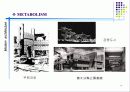 메타볼리즘 15페이지