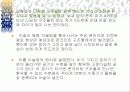 유네스코 지정 세계 문화유산 석굴암 조사 28페이지