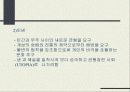 근대건축 데 스틸(De Stijl) 4페이지