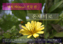 사업계획보고서 1페이지
