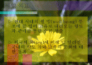 사업계획보고서 2페이지