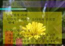 사업계획보고서 3페이지