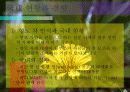 사업계획보고서 4페이지