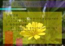 사업계획보고서 8페이지
