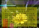 사업계획보고서 11페이지