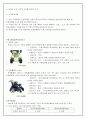 아시아나항공 서비스경영 전략분석 26페이지