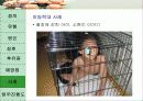 아동학대 17페이지