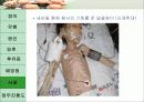 아동학대 19페이지