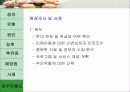 아동학대 27페이지
