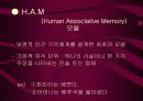 학습의 인지심리학적 접근[교육학,교육심리] 28페이지