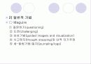 (인지치료기법) 인지행동모델에 대한 이해와 사회복지사의 적용 및 구체적 사례 17페이지