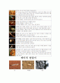 곤충의 형태적 특징 5페이지