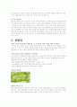 잎의 구조 줄기의 구조 2페이지