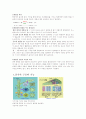 잎의 구조 줄기의 구조 3페이지