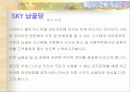 사업계획서 5페이지