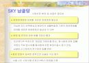 사업계획서 9페이지