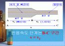 시계반응 8페이지