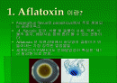 아플라톡신 2페이지