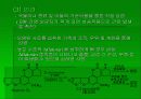 아플라톡신 8페이지