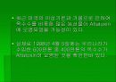 아플라톡신 11페이지