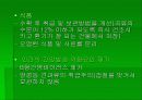 아플라톡신 14페이지
