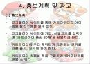 코크플레이 배 카트라이더에 대한 레포트(파워포인트) 17페이지