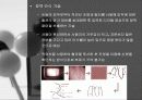 생체인식기술에 대한 발표자료 18페이지