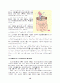 성폭력 범죄의 실태분석 및 대응방안 14페이지