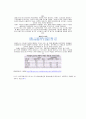 피자 업계 분석 7페이지