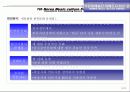 한국문화예술단한중자매도시순회공연(한류문화컨텐츠)기획서 13페이지