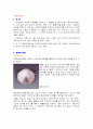 산업안전 보호구 안전장비 2페이지