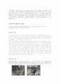 게임속의 전쟁과 폭력에 관한 분석보고서 8페이지
