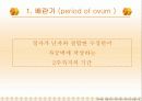 태내기 발달단계 7페이지