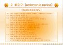 태내기 발달단계 10페이지